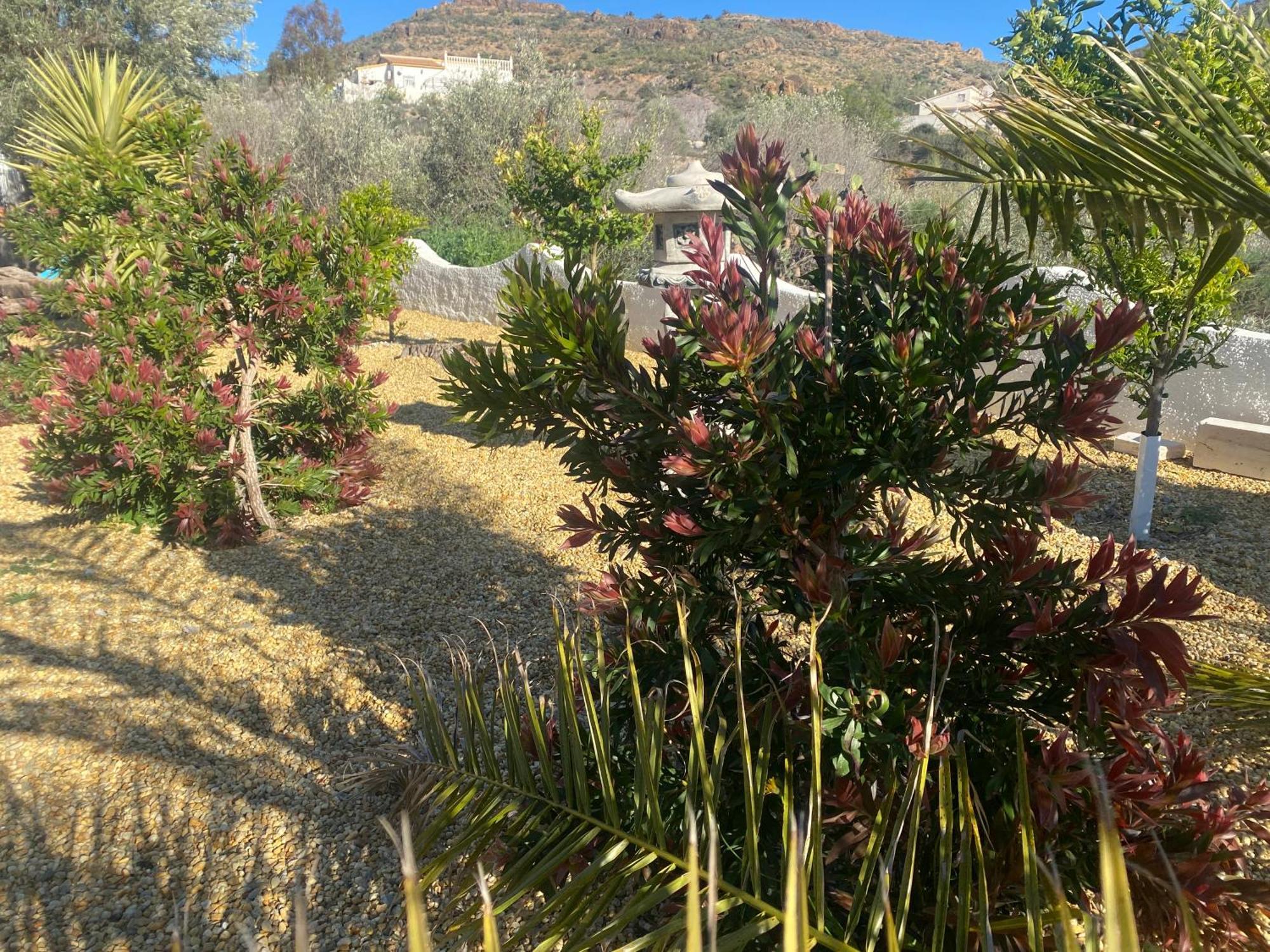 Cortijo Los Corazones Cantoria Eksteriør bilde
